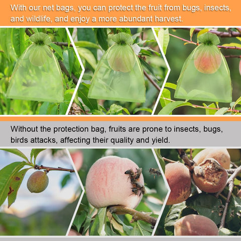 Shintop drawstring closure keeps the bags securely around growing fruit.