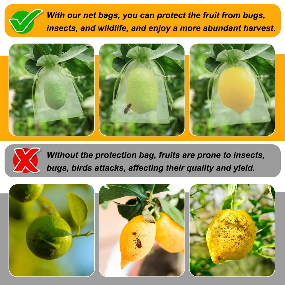 Shintop blueberry netting bag shields berries while they mature