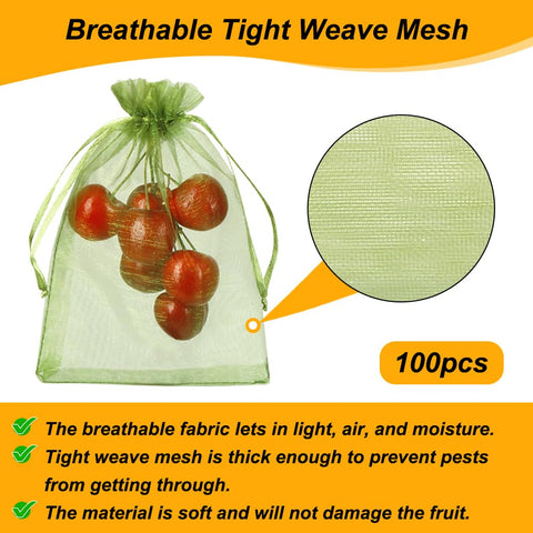 Shintop fig netting bag safeguards small fruits on the stem