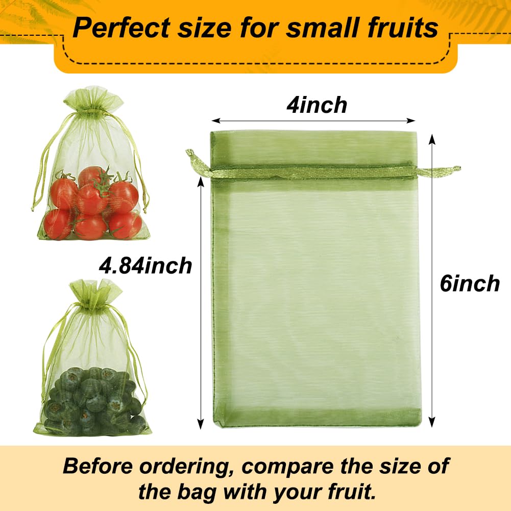 Shintop kiwi netting bag guards small fruit on the vine