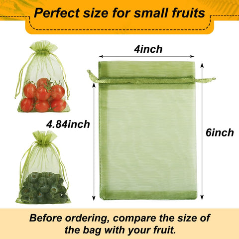Shintop kiwi netting bag guards small fruit on the vine