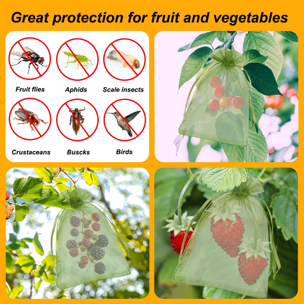 Shintop lemon netting bag protects delicate fruit during ripening