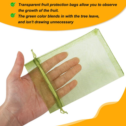 Shintop green fruit netting bag on plant ready for harvest