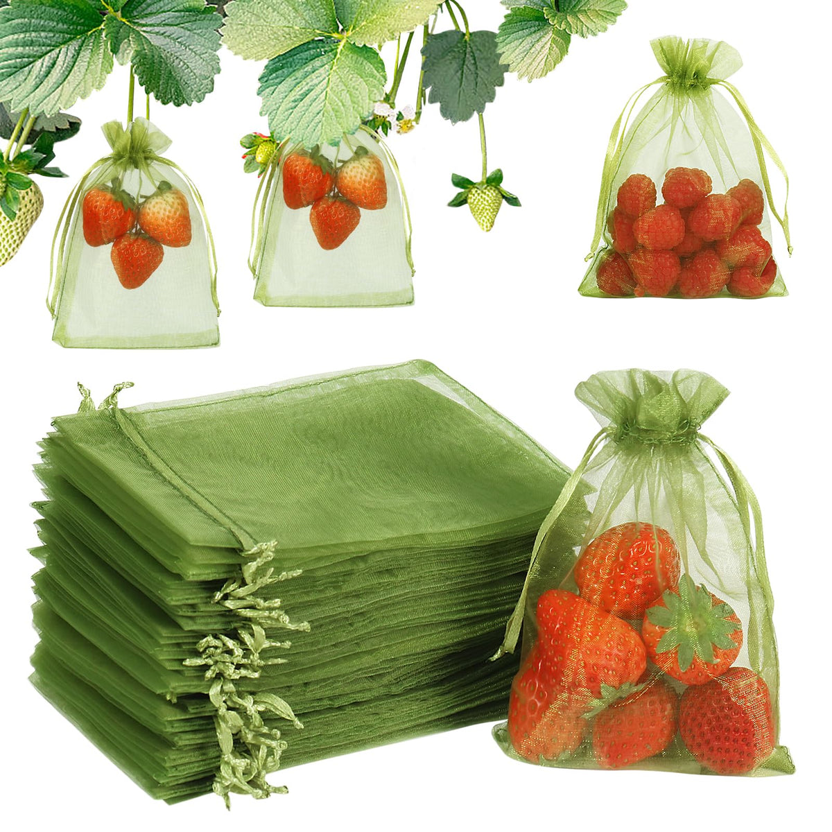 Shintop strawberry netting bag protects ripe fruit on the plant