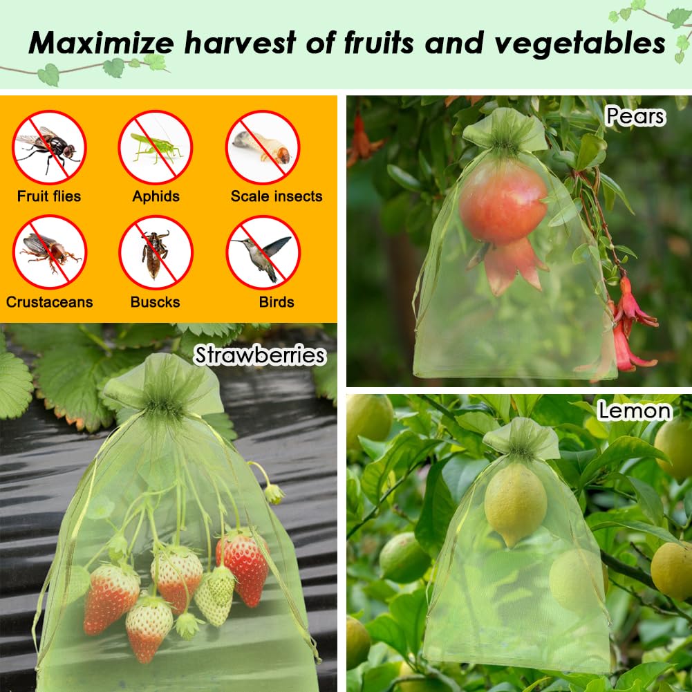 Shintop bags cover tomatoes, guarding harvest from pests and birds