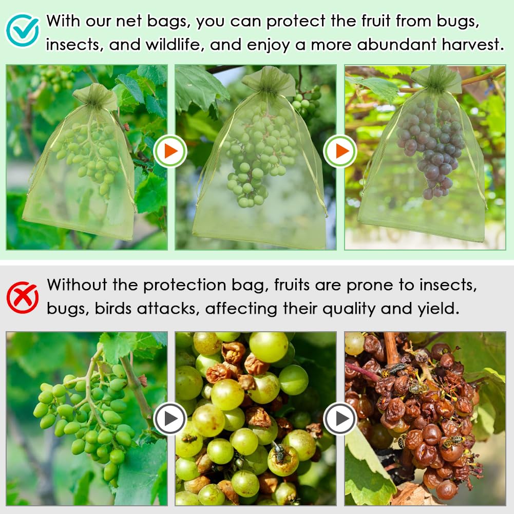 Shintop bags on a branch protect fruit while allowing airflow
