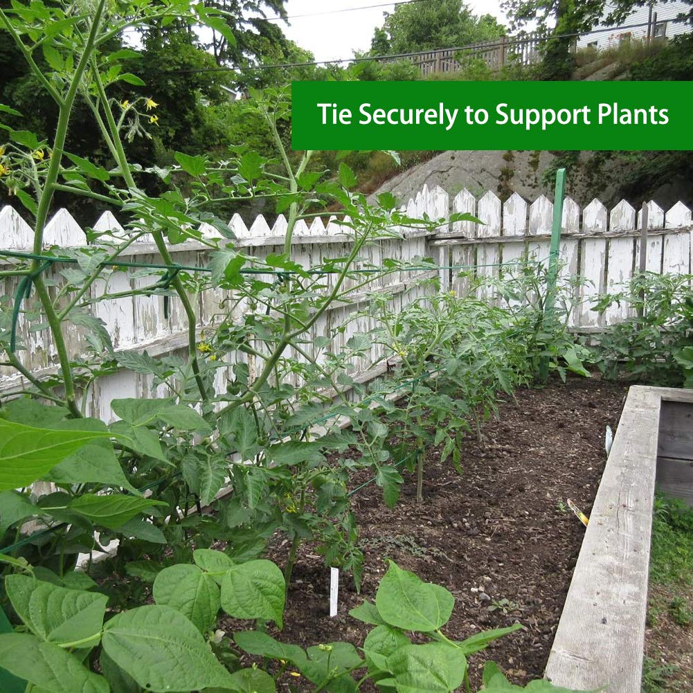 Shintop garden tie anchors stems against wind with gentle hold
