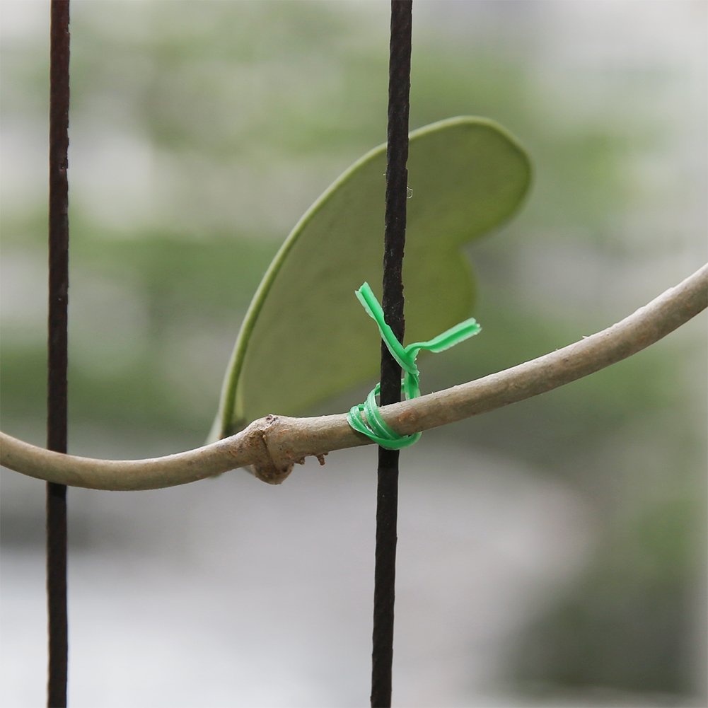 Shintop green twist tie keeps flowers arranged and supported.