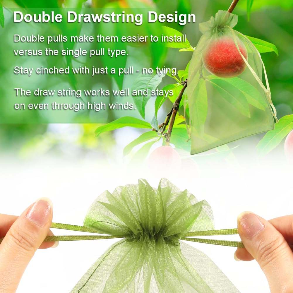 Shintop lightweight mesh preserves fruit quality without stressing branches.
