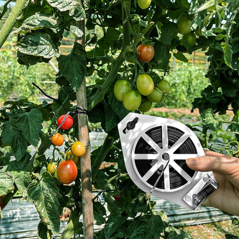 Shintop outdoor gardening use tie securing plants to supports