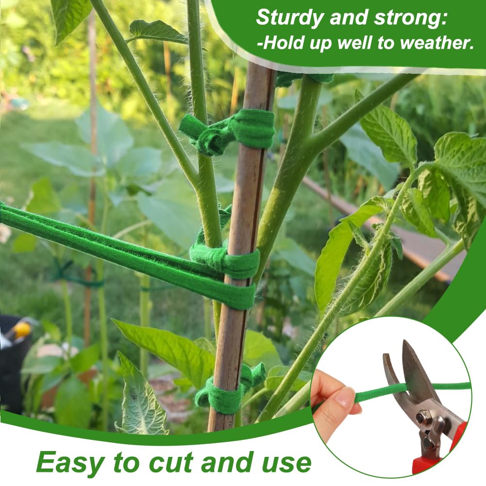 Shintop stake-and-trellis support for vines and flowers.