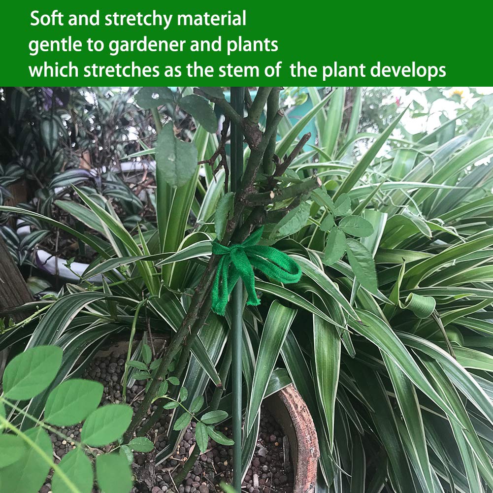 Shintop stretchy plant tie secures growth while accommodating thicker stems