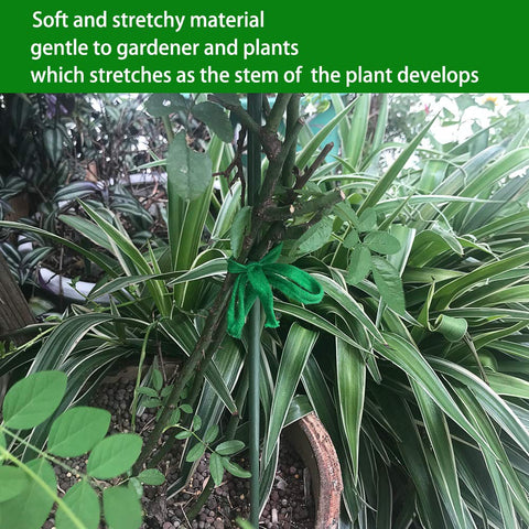 Shintop stretchy plant tie secures growth while accommodating thicker stems