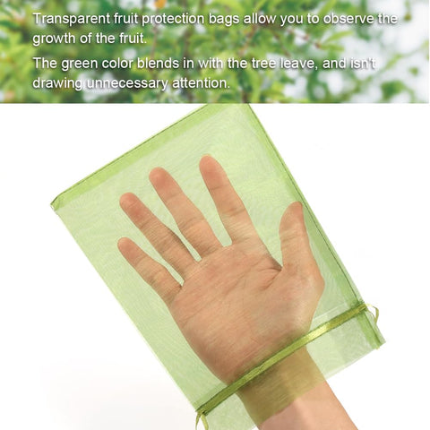 Shintop clear visibility lets you monitor ripening without removing bags.