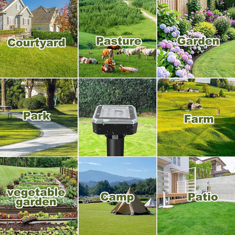 ShinyArt versatile use across garden beds and borders