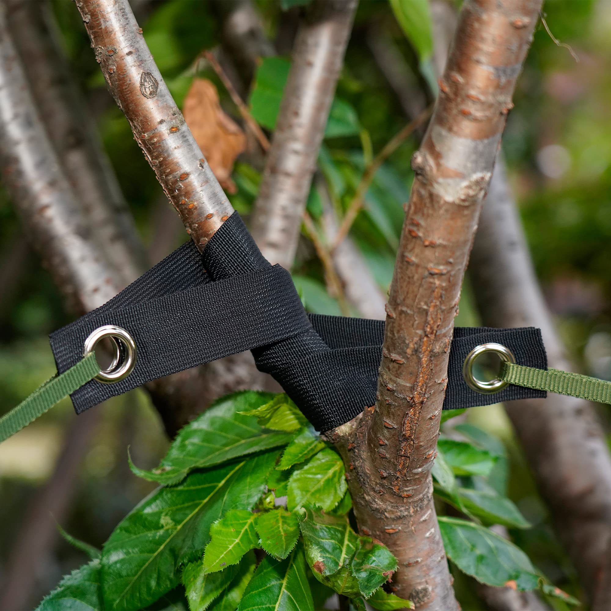 Shitailu outdoor straps enable quick, secure setup around trunks.