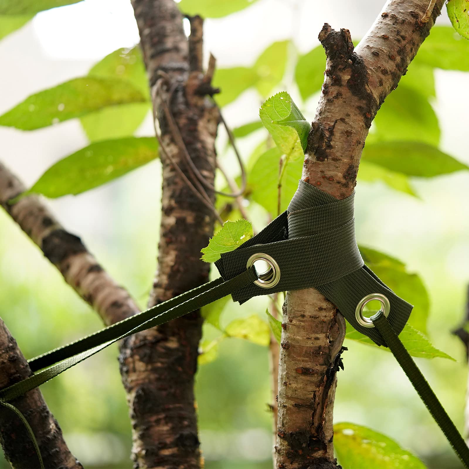 Shitailu outdoor tree support system setup ready to install.