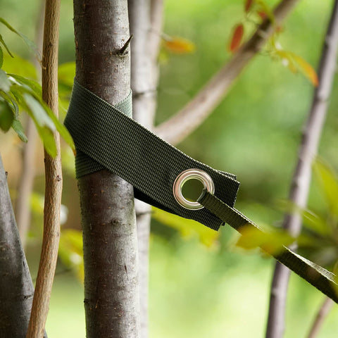 Shitailu pack six green tree straps for multiple trees.