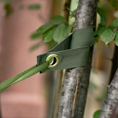 Shitailu tree-support-strap-wrap versatile for shrubs and small trees.