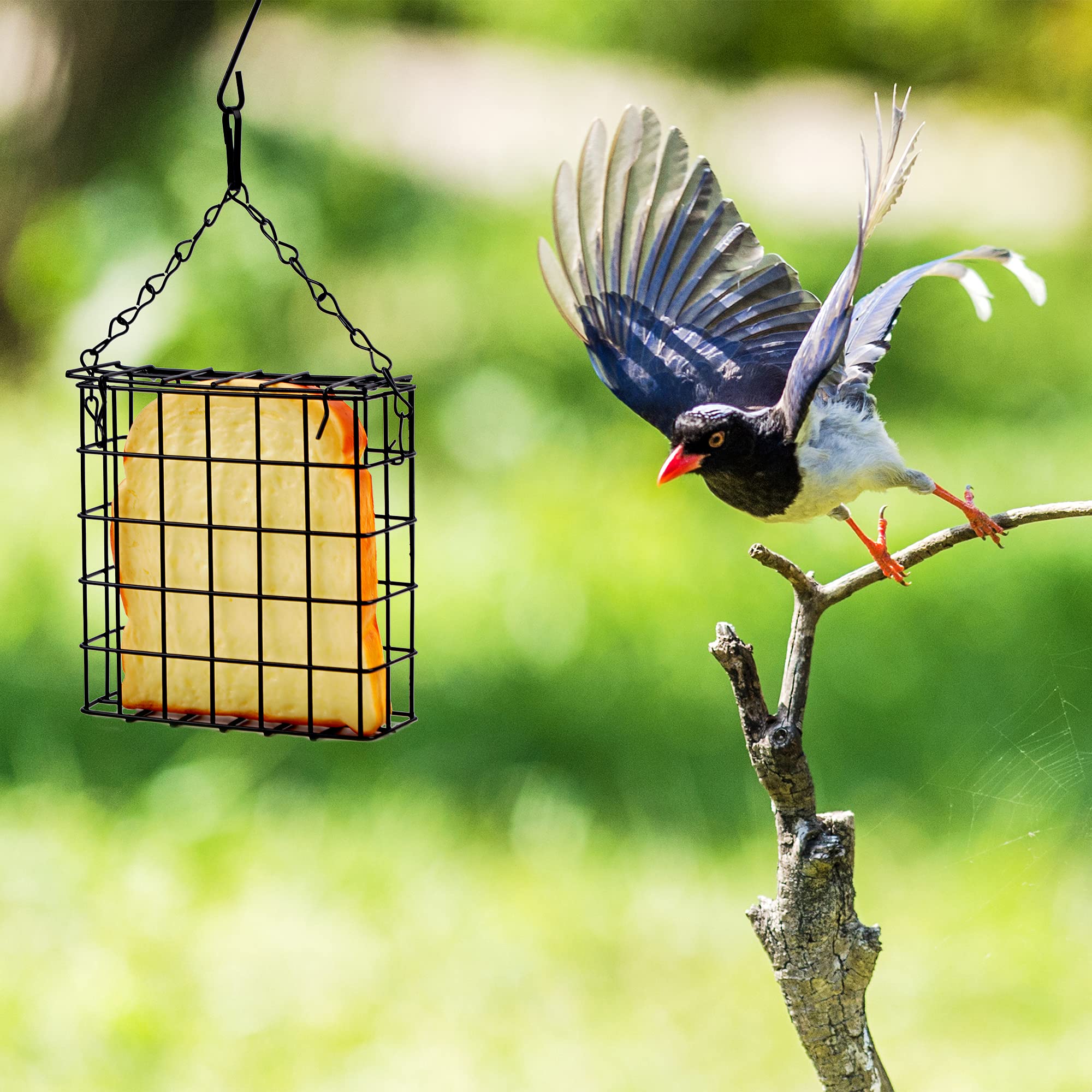 Shitailu two-pack feeder set enhances backyard birdwatching with multiple feeding spots.