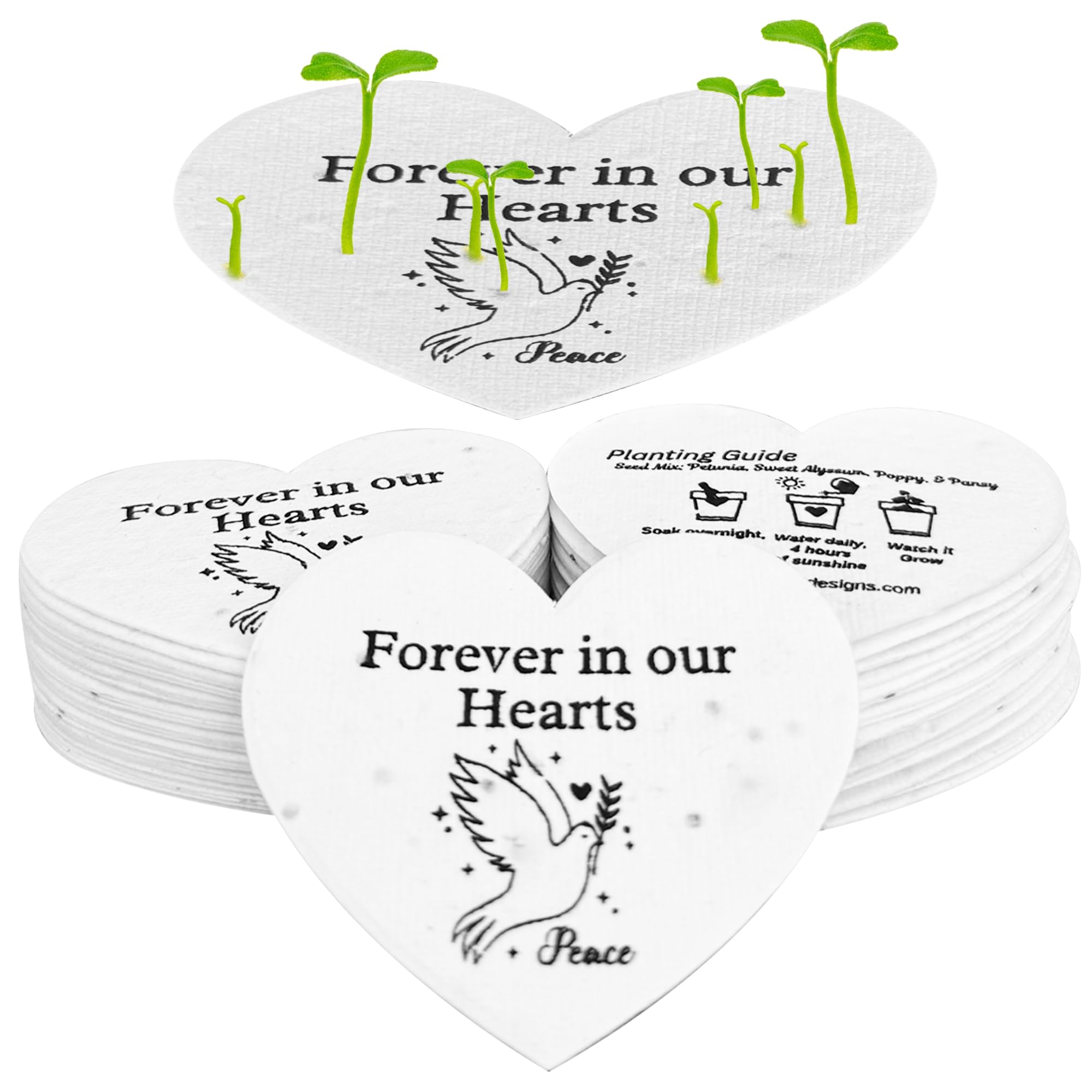 ShiviAaryan Designs seed card with Forever in Our Hearts for remembrance