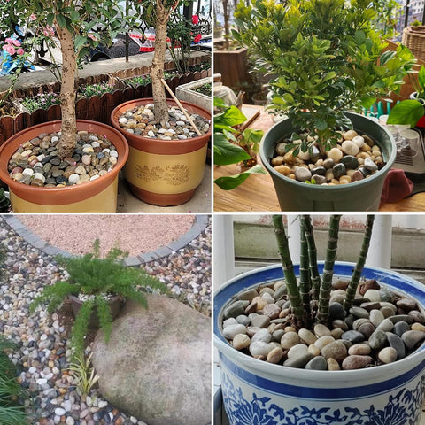 SHIZWU decorative pebbles brighten fountains and garden ponds.