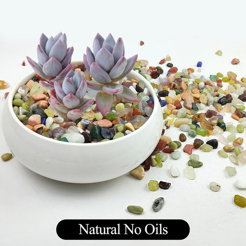 SHIZWU decorative pebbles for vases and planters add texture and color