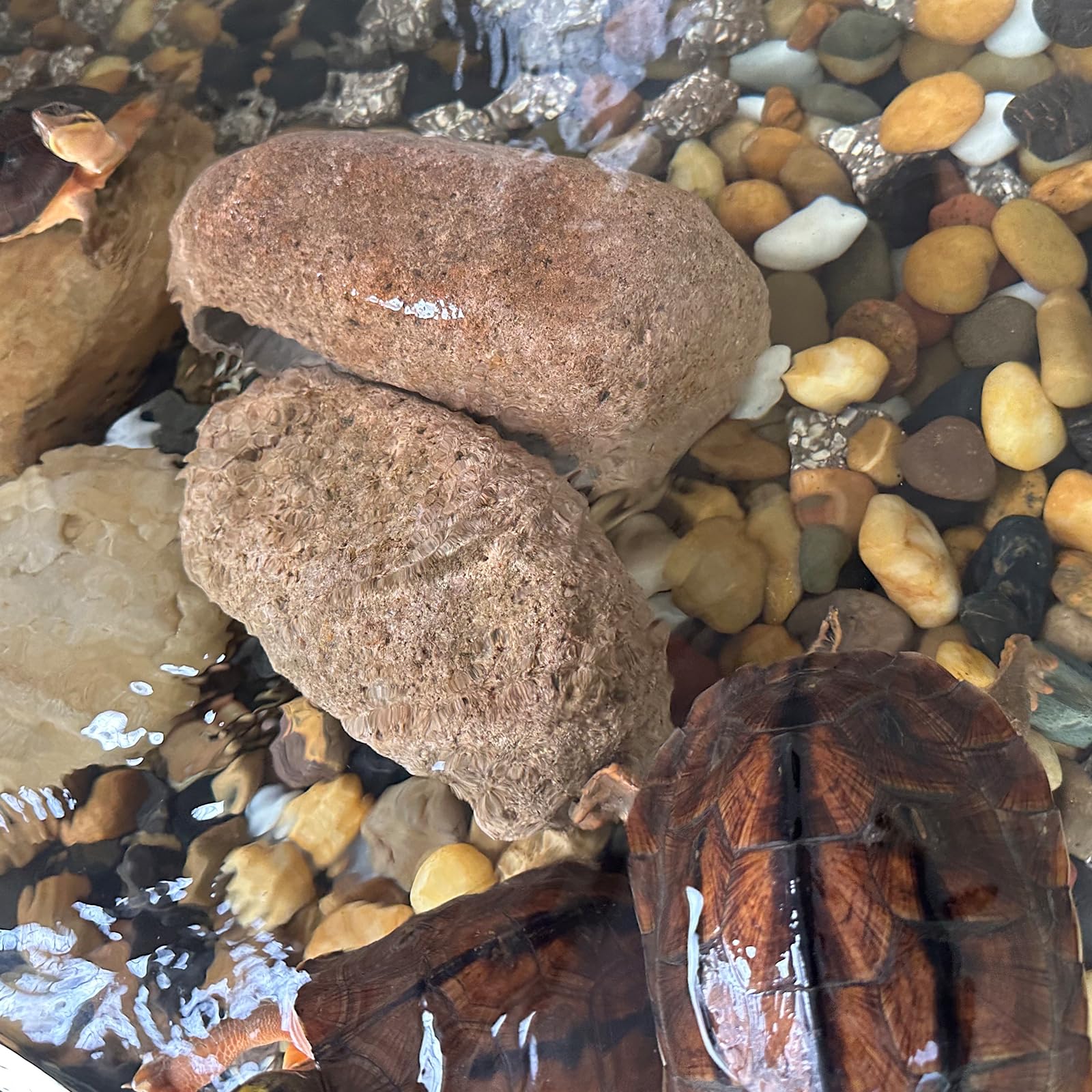 SHIZWU decorative river rocks for landscaping and pathways