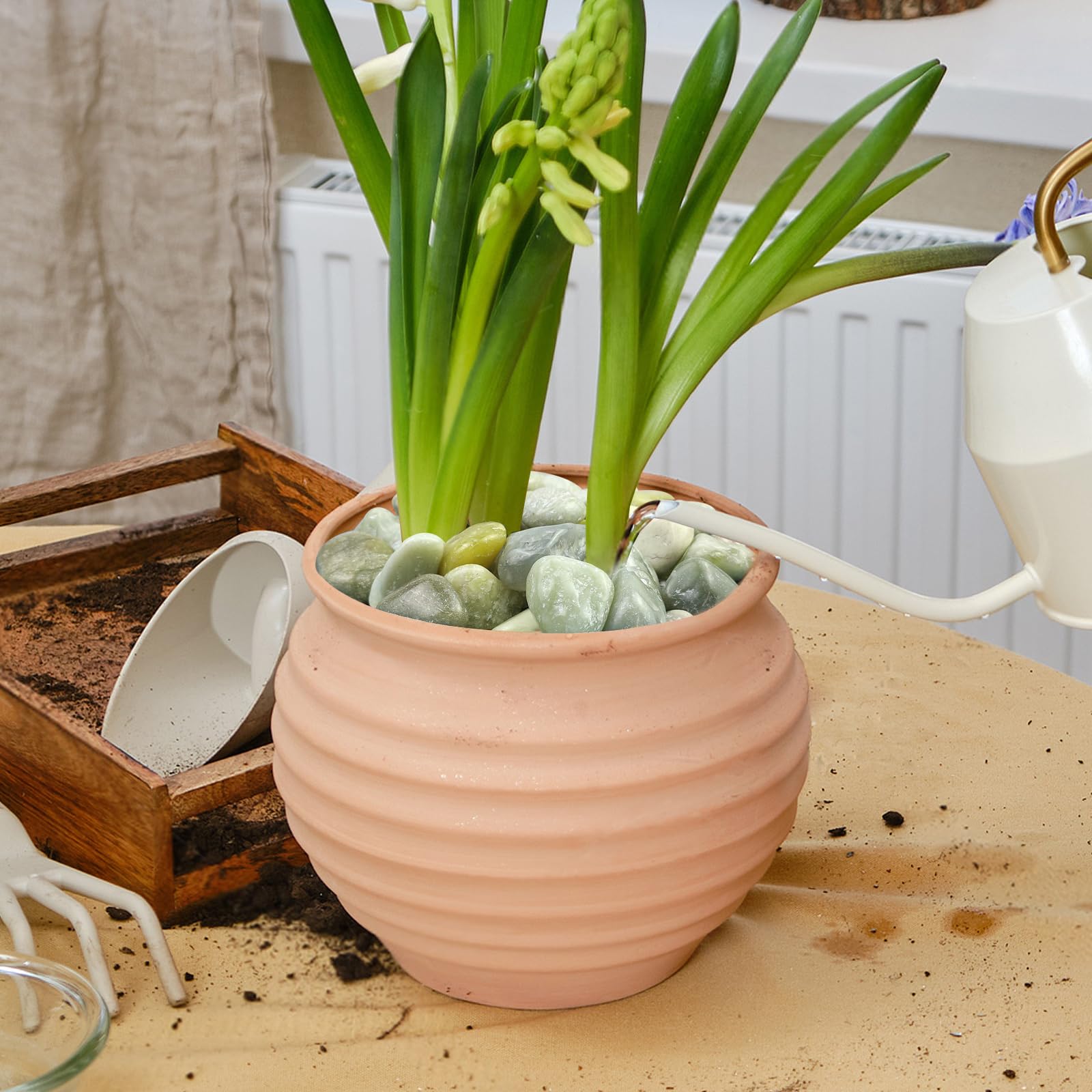 SHIZWU decorative pebbles for gardens and paths, cohesive natural styling.