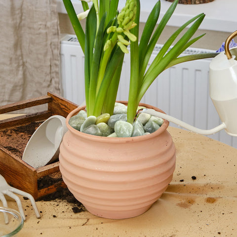 SHIZWU decorative pebbles for gardens and paths, cohesive natural styling.