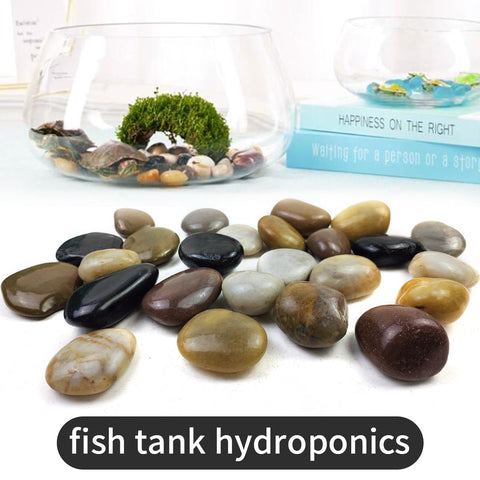 SHIZWU river rocks add natural charm to fish tanks and water features.