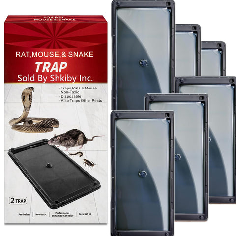 SHKIBY rat glue traps 6-pack front view ready for quick indoor setup.