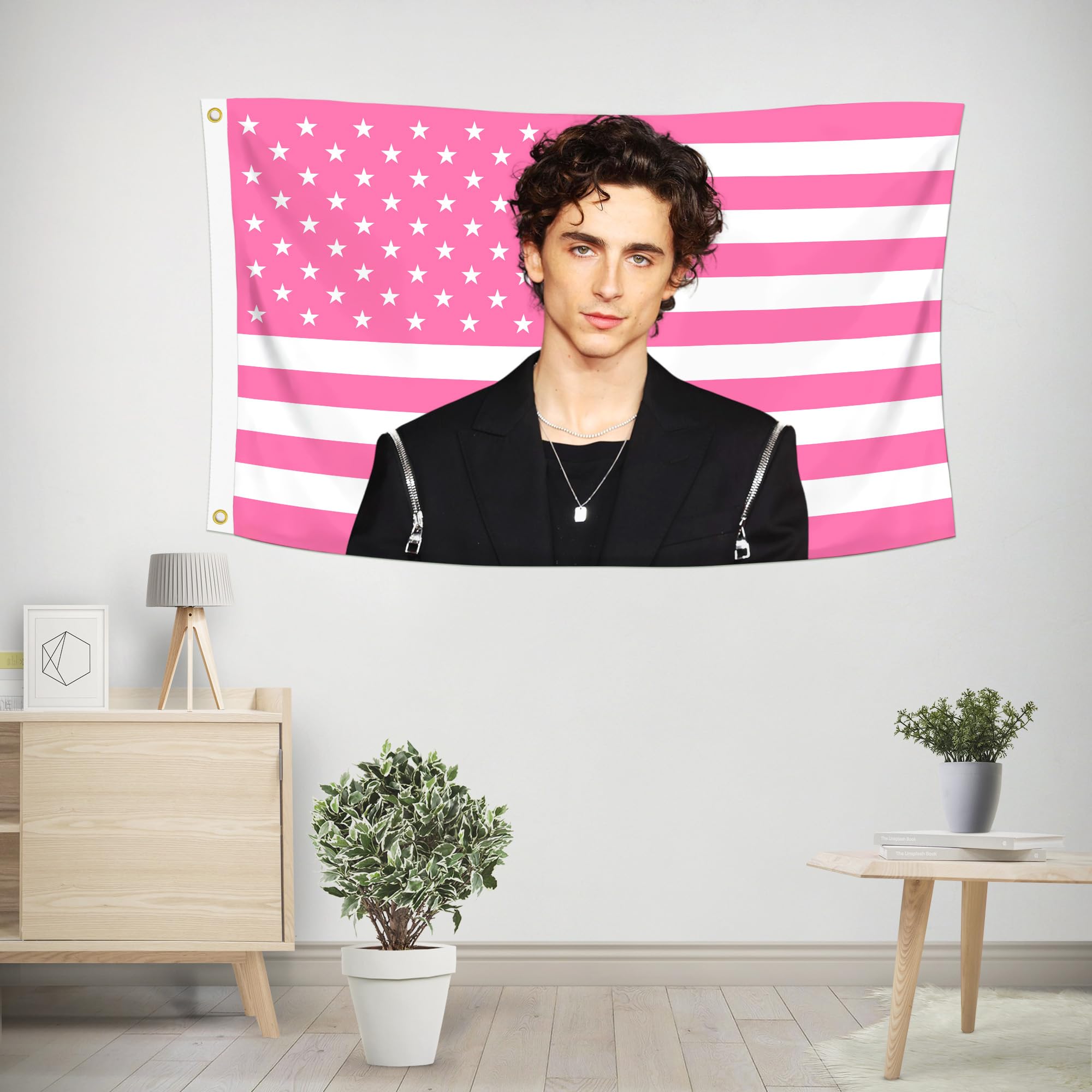 Shmbada TimotheeChalamet flag with brass grommets for secure hanging.