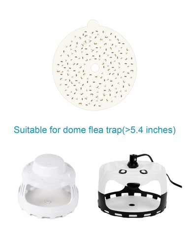Shootingstar refill in use on a home flea trap for ongoing protection