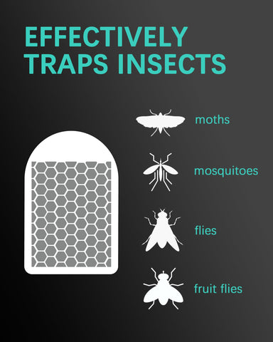 Indoor fly trap refills from Shootingstar provide reliable sticky capture for small pests.