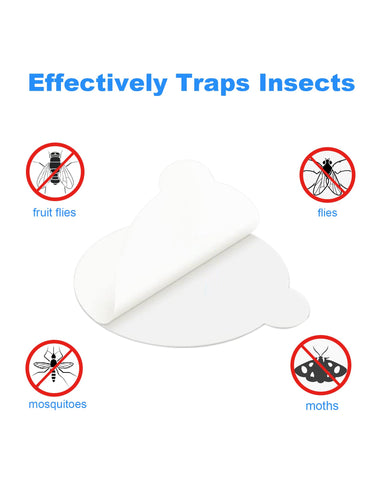 Shootingstar mosquito trap in use with glue board catching insects.