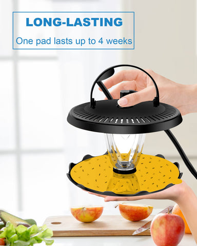 Shootingstar odorless sticky pad safe for homes with kids and pets