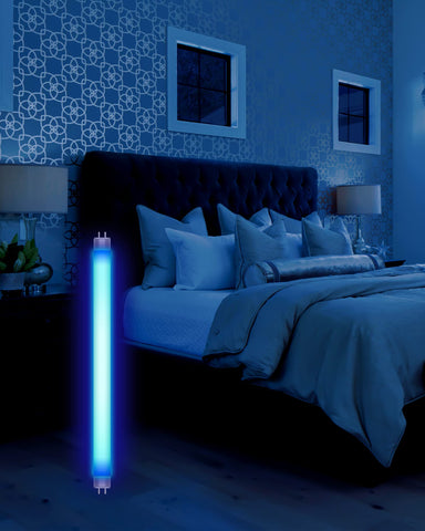 Porch or patio use: Shootingstar bulbs boost Dynatrap performance at dusk.