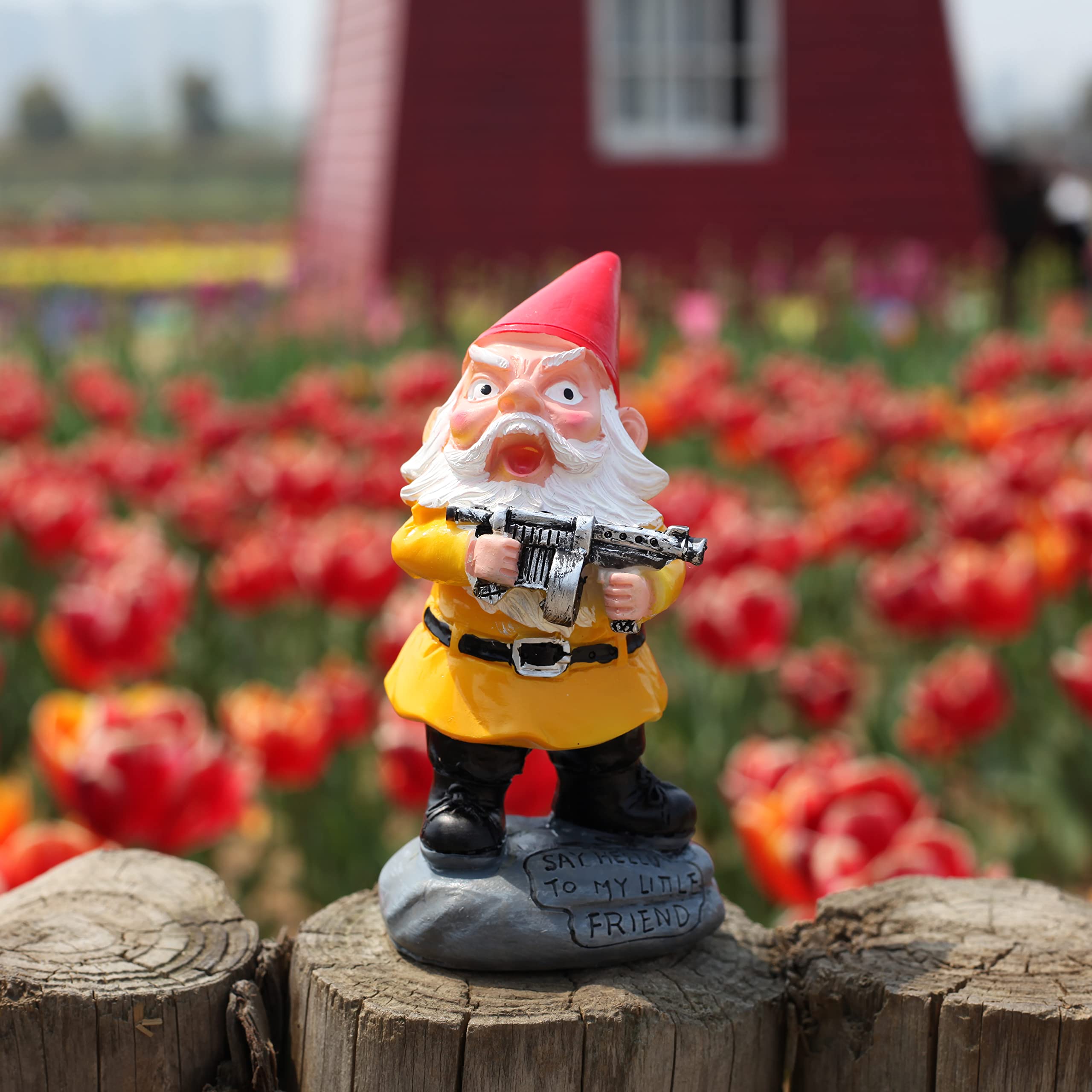 SHOWFEICAT weatherproof coating keeps color vivid in all seasons