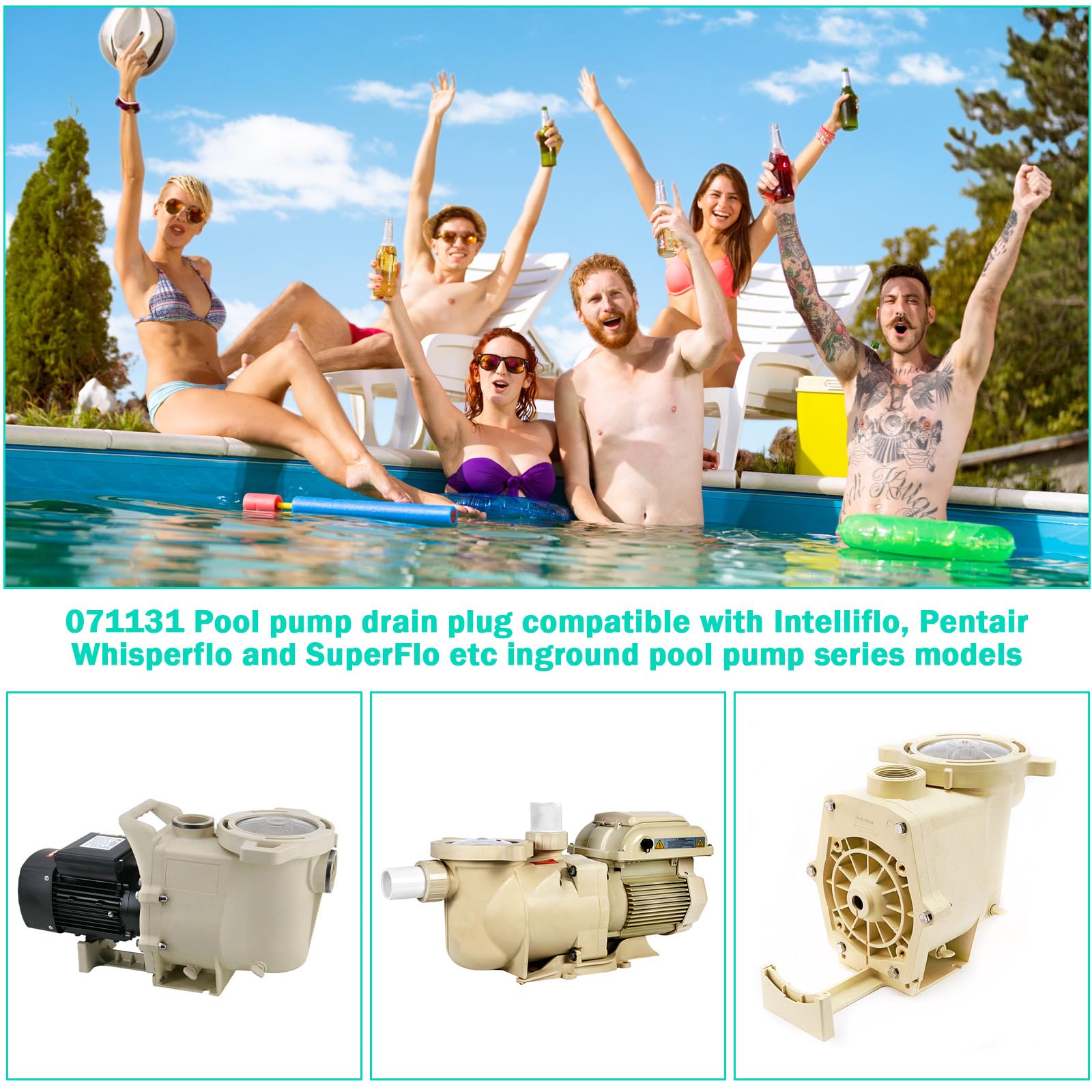 Showingo compatible pumps whisperflo intelliflo image highlights broad compatibility.