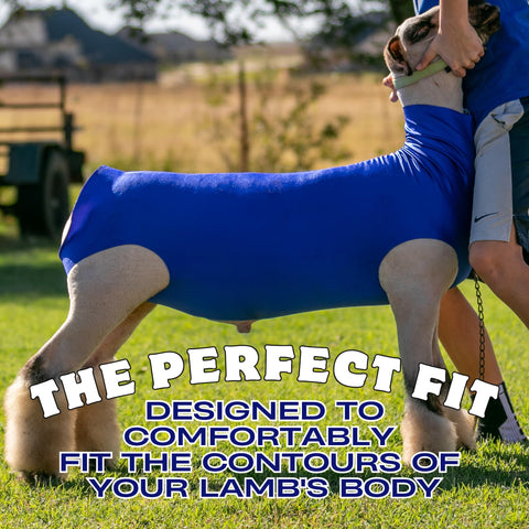 Closeup of Show Pro blue spandex material highlighting stretch and durability for lambs.