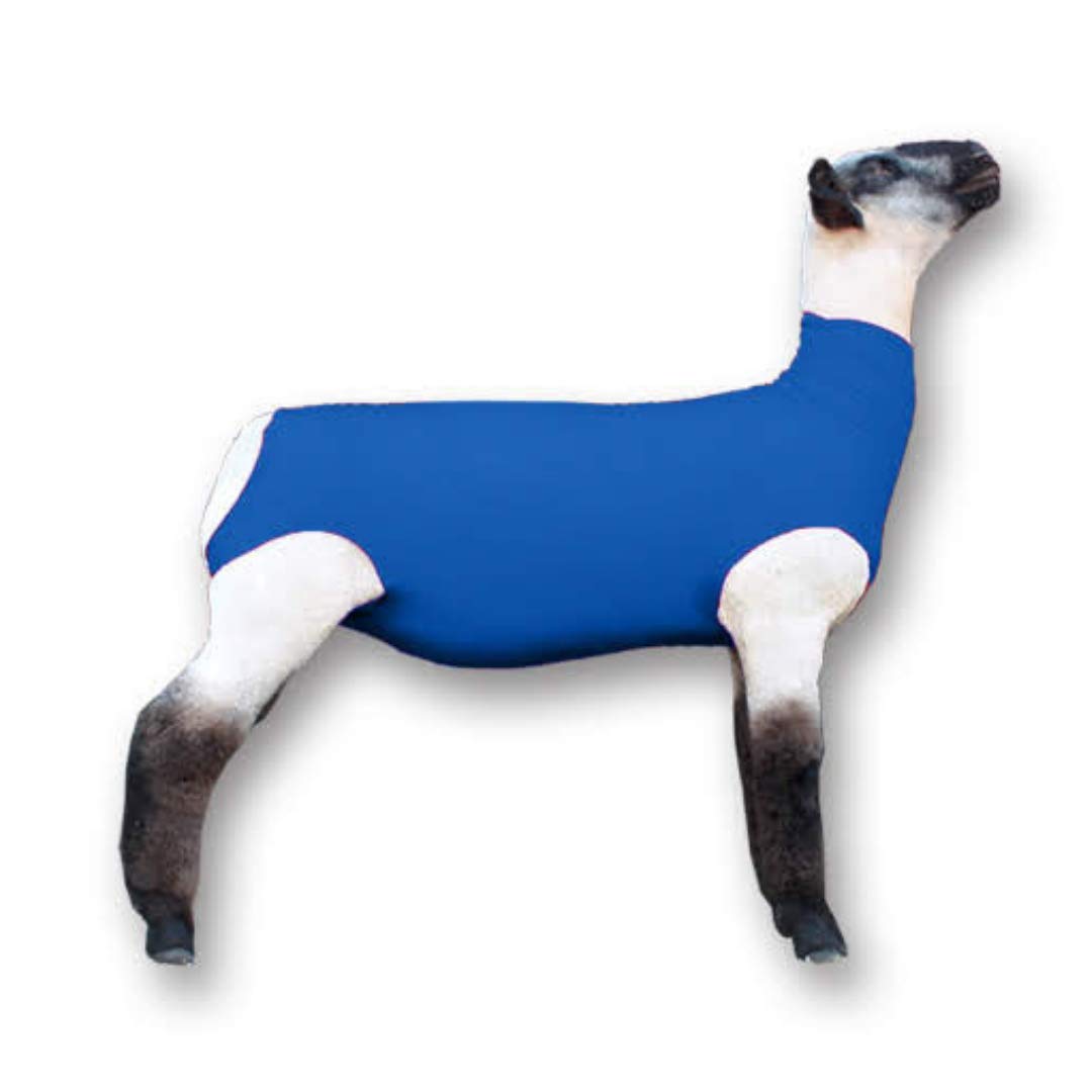 Show Pro blue spandex lamb tube on lamb provides contour-friendly fit for show days.