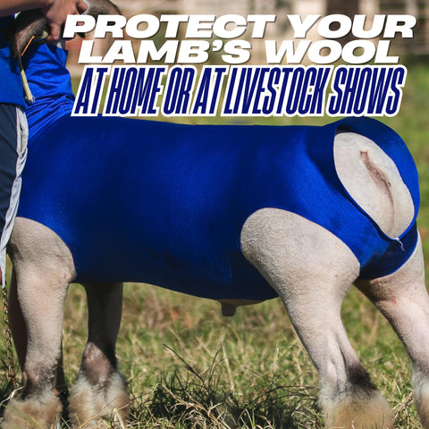Show Pro lamb tube protecting wool during handling and show prep.