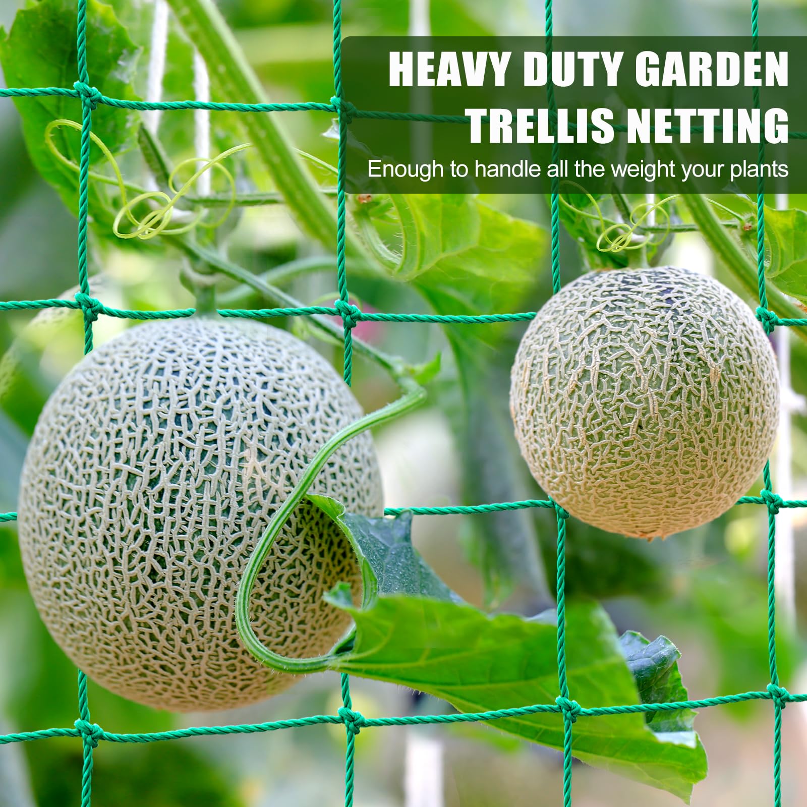 SHPPETONB Climbing plants netting provides durable outdoor support for cucumber.