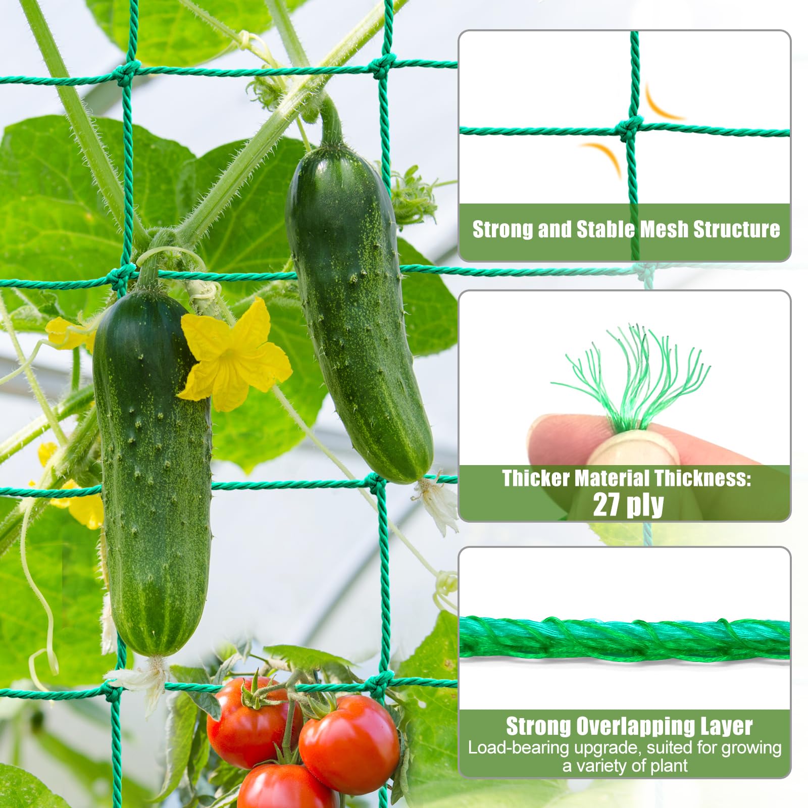 SHPPETONB tomato trellis netting supports fruit growth and maintains tidy plant shape.