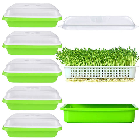 SHUESS seed sprouting tray six-pack front view with BPA-free construction for safe kitchen use.