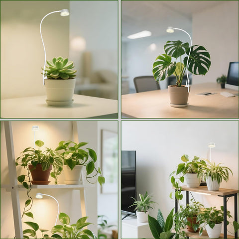 Shyineyou-safe low-voltage design ensures worry-free indoor use