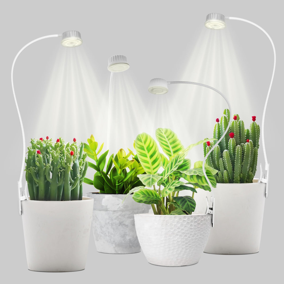 Shyineyou small grow light desktop clip—space-saving for desks.