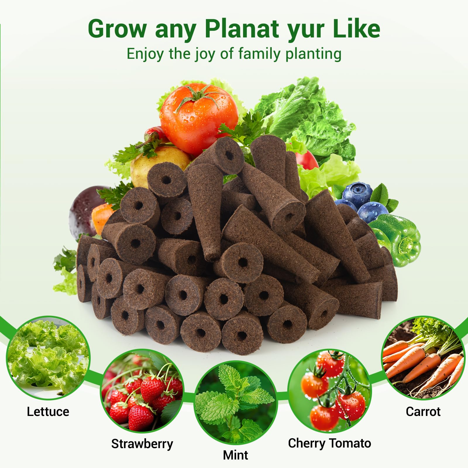 SIETAMIS beginner-friendly setup demonstrated for new growers and home gardens