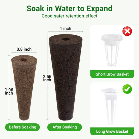 SIETAMIS center-seed-placement demonstrates seed centered in sponge for optimal contact